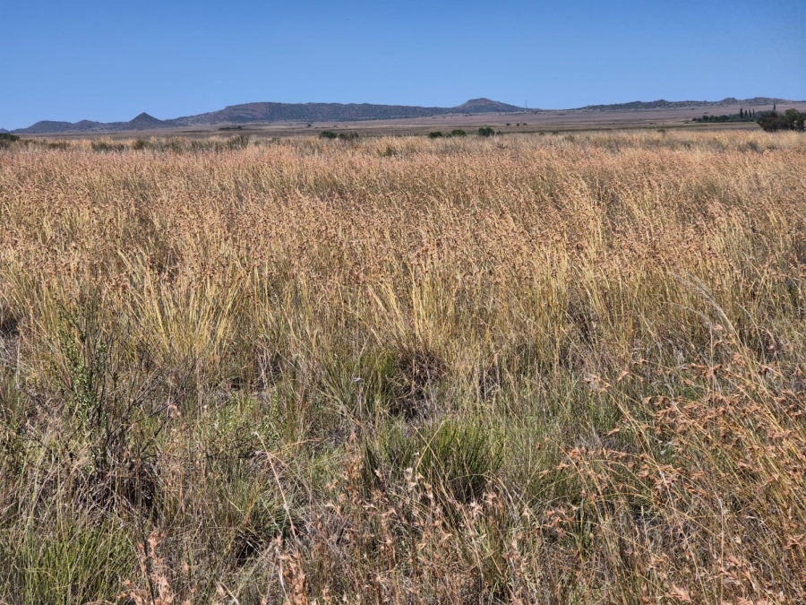 0 Bedroom Property for Sale in Edenburg Rural Free State